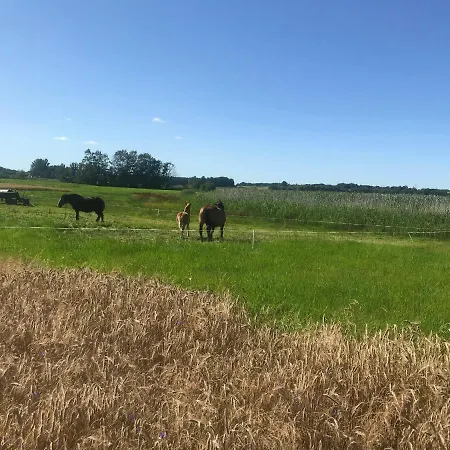 Jaktstuga Nad Jeziorem Otalzyno