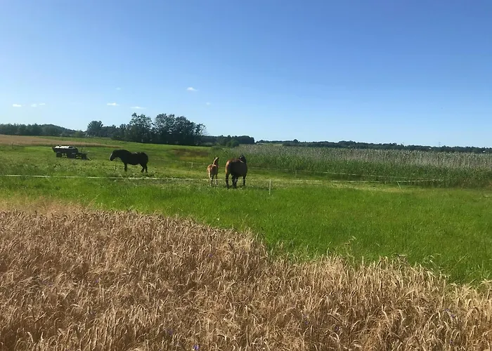 Деревянный коттедж Nad Jeziorem Otalzyno